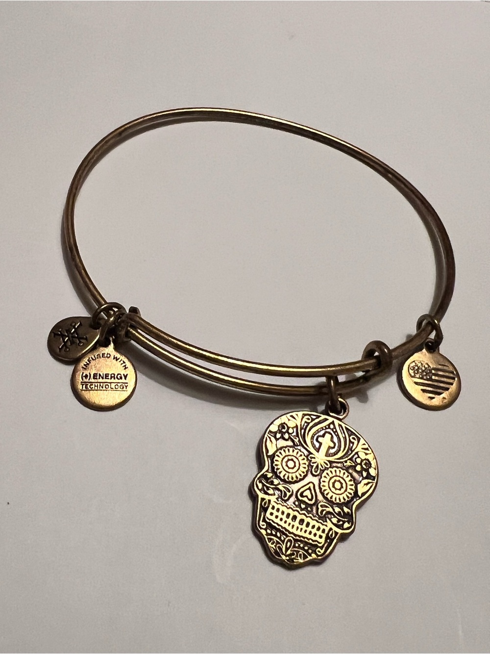 Alex and Ani copper Gold-Tone Calavera Skull Charm Bangle Bracelet